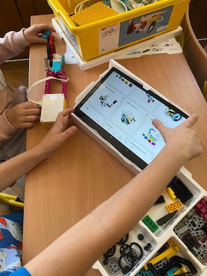 317602210 908003910123219 4675460612250747300 n