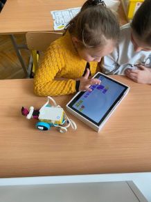 339062470 215785754404107 6006485737662116379 n